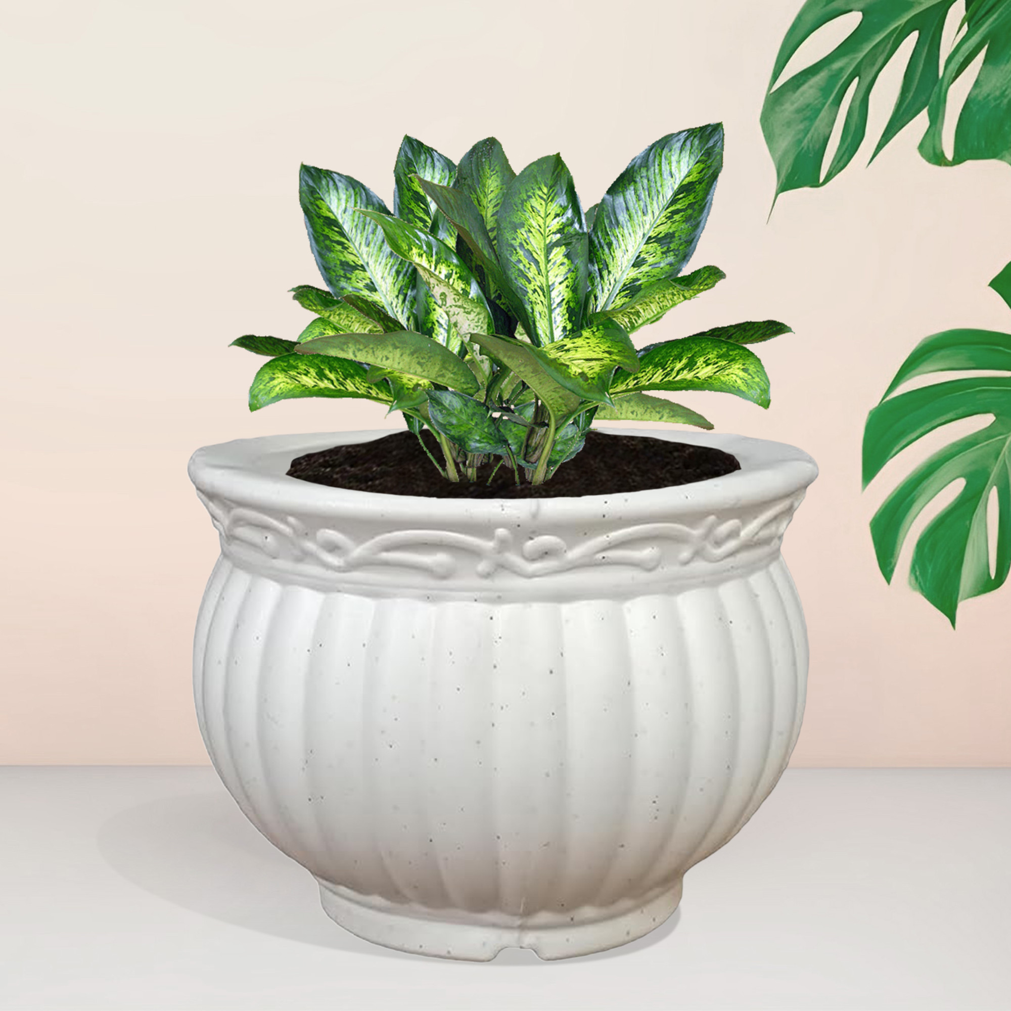 Kuber Industries Kanha Matki Flower Pot  Flower Planter Pots for Indoor  Flower Pots for Outdoor  Pot for Garden  Balcony Flowering  Flower Plants Pot  8 Inch  White