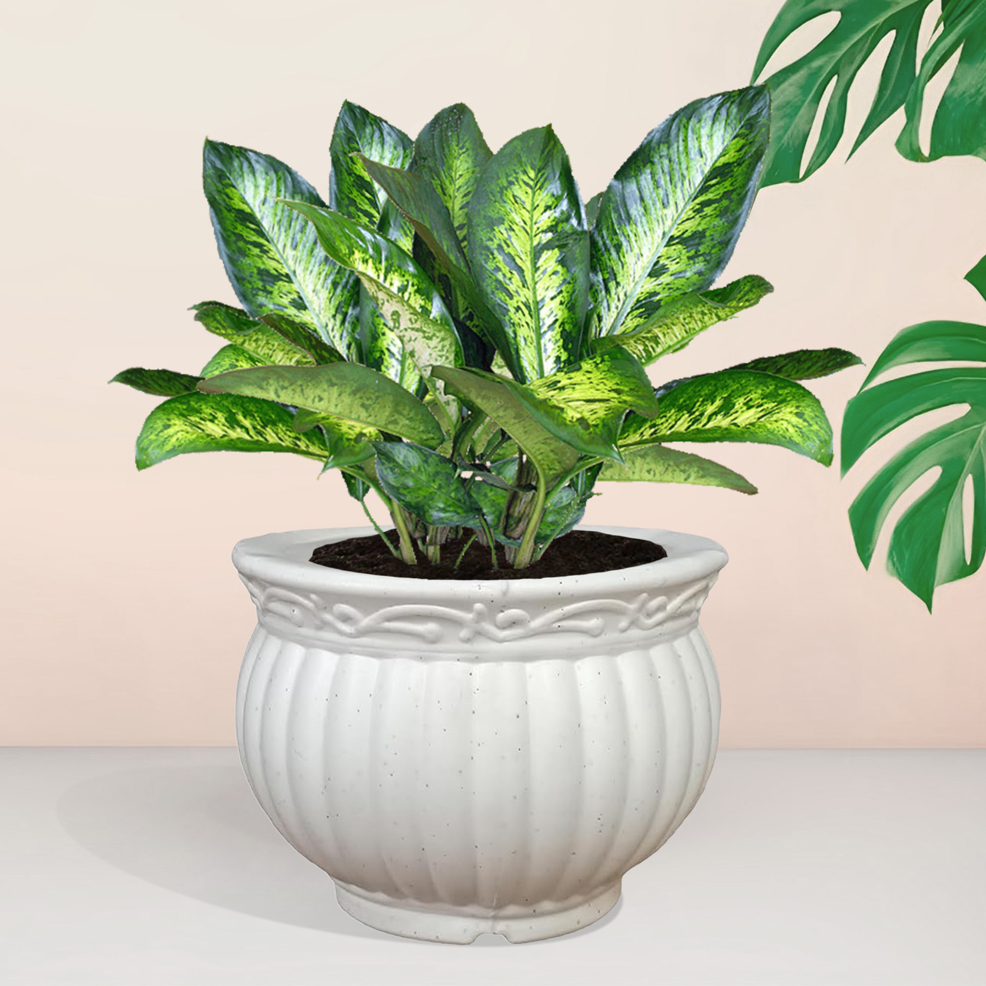 Kuber Industries Kanha Matki Flower Pot | Flower Planter Pots for Indoor | Flower Pots for Outdoor | Pot for Garden & Balcony Flowering | Flower Plants Pot | 6 Inch | White