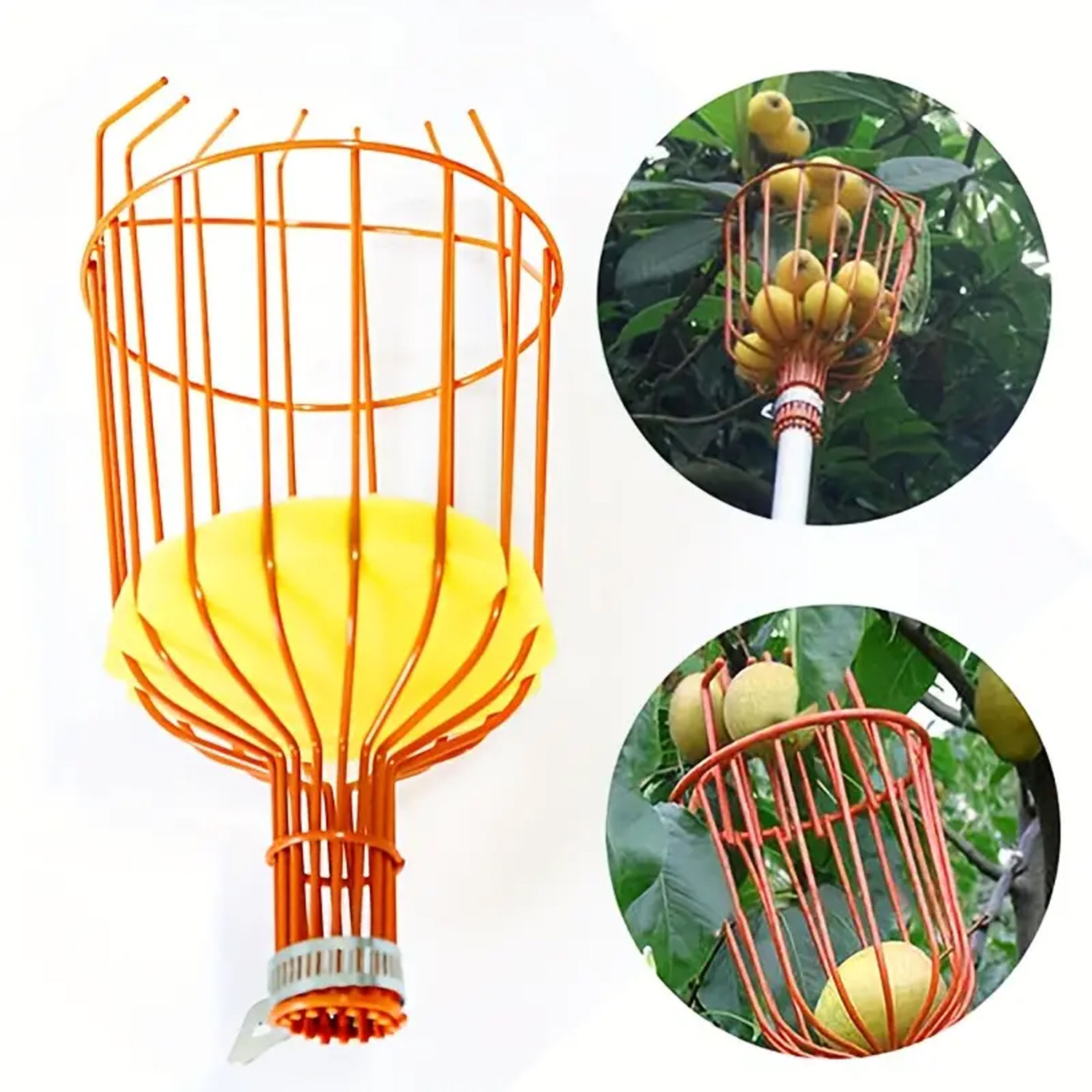 Kuber Industries Lightweight Fruit Picker|Fruit, Mango, Coconut Plucker|Fruit Picking Tool, Basket For Garden (Red)