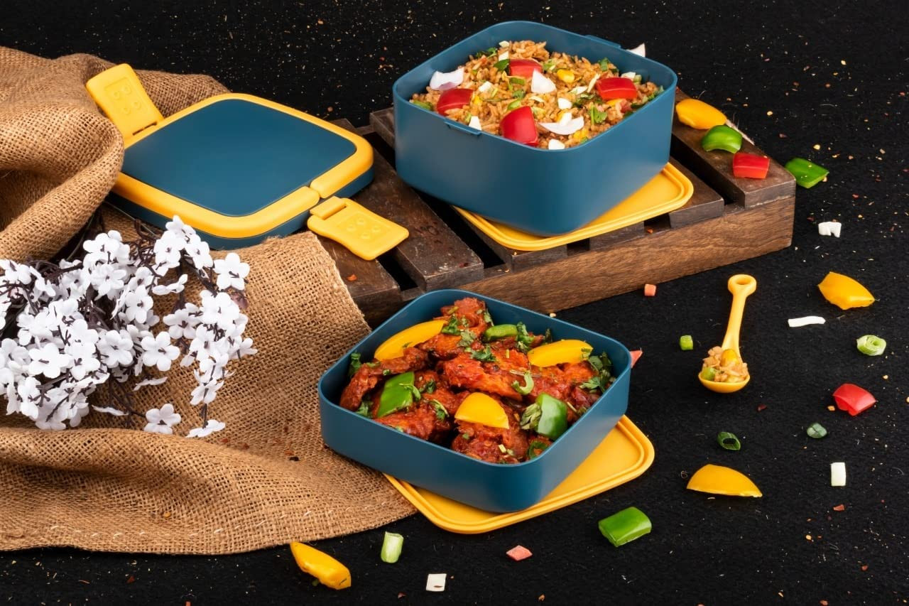 Kuber Industries Lunch Box|Unbreakable Plastic 2 Squre Containers Tiffin with Handle|Durable Lunch Box with (1000 ML)