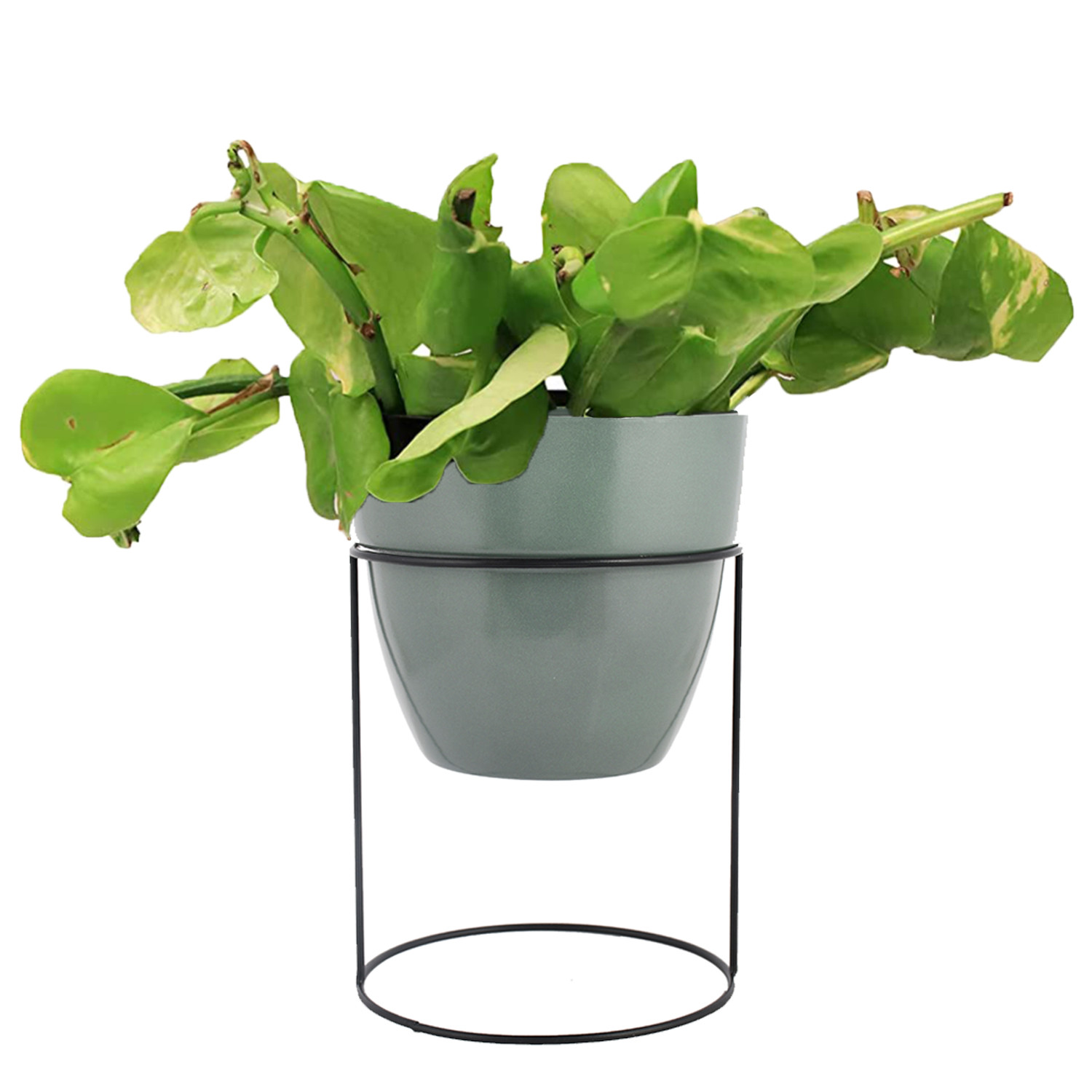 Kuber Industries Metal Planter|Decorative Modern Indoor Desk Pot|Iron Table Stand Flower Planter Pot For Home Décor,8.5 Inches,Pack of 2 (Green & Black)