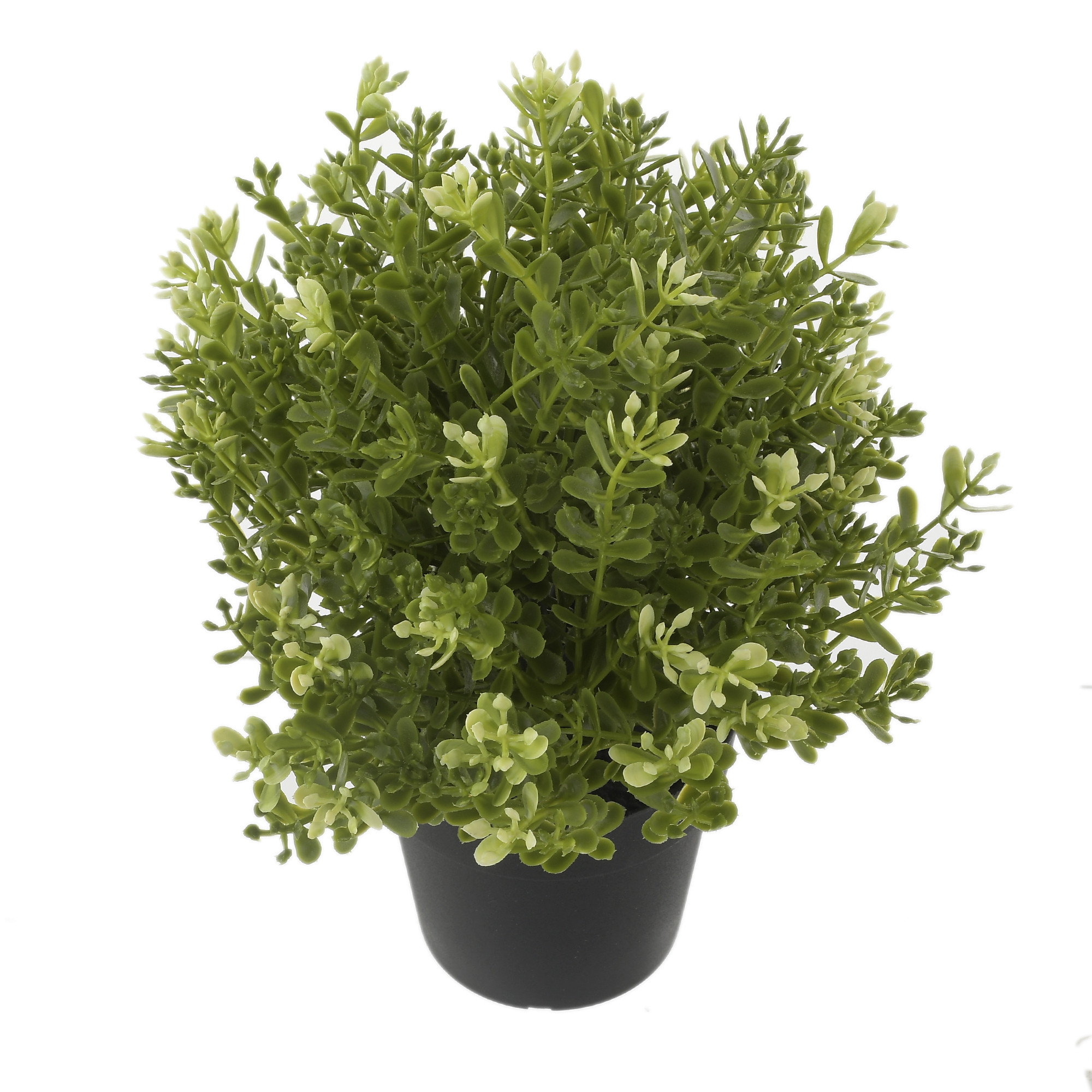 Kuber Industries Mini Plastic Potted Plants for Home Office Decoration, Plastic Plant with Black Plastic Pots, Fake Plant for Bathroom Décor, Green-33_S_KUBQMART11596