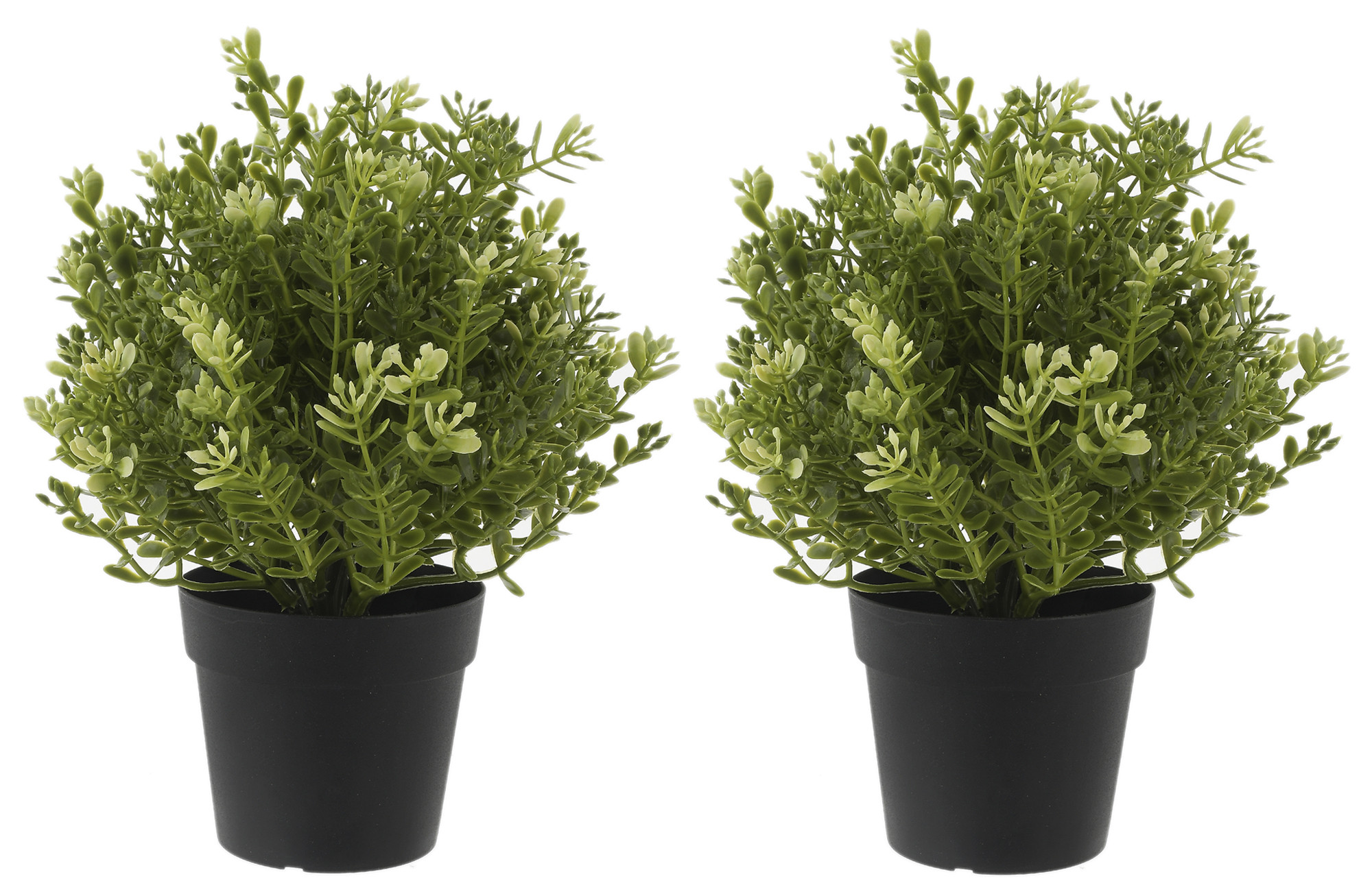 Kuber Industries Mini Plastic Potted Plants for Home Office Decoration, Plastic Plant with Black Plastic Pots, Fake Plant for Bathroom Décor, Green-33_S_KUBQMART11596