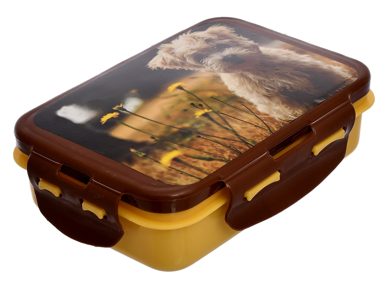 Kuber Industries Model-301 Unbreakable Plastic Small Airtight Leakproof Lunch Box/Tiffin (Brown) Suitable For Nursery to 1st class-KUBMART1292