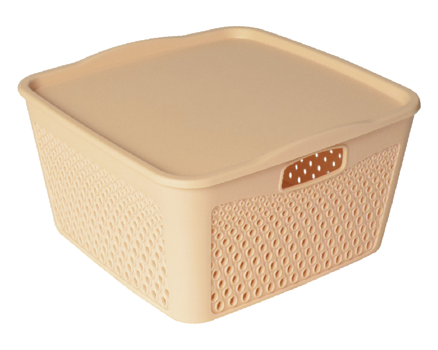 Kuber Industries Netted Design Unbreakable Multipurpose Square Shape Plastic Storage Baskets with lid Large (Beige)