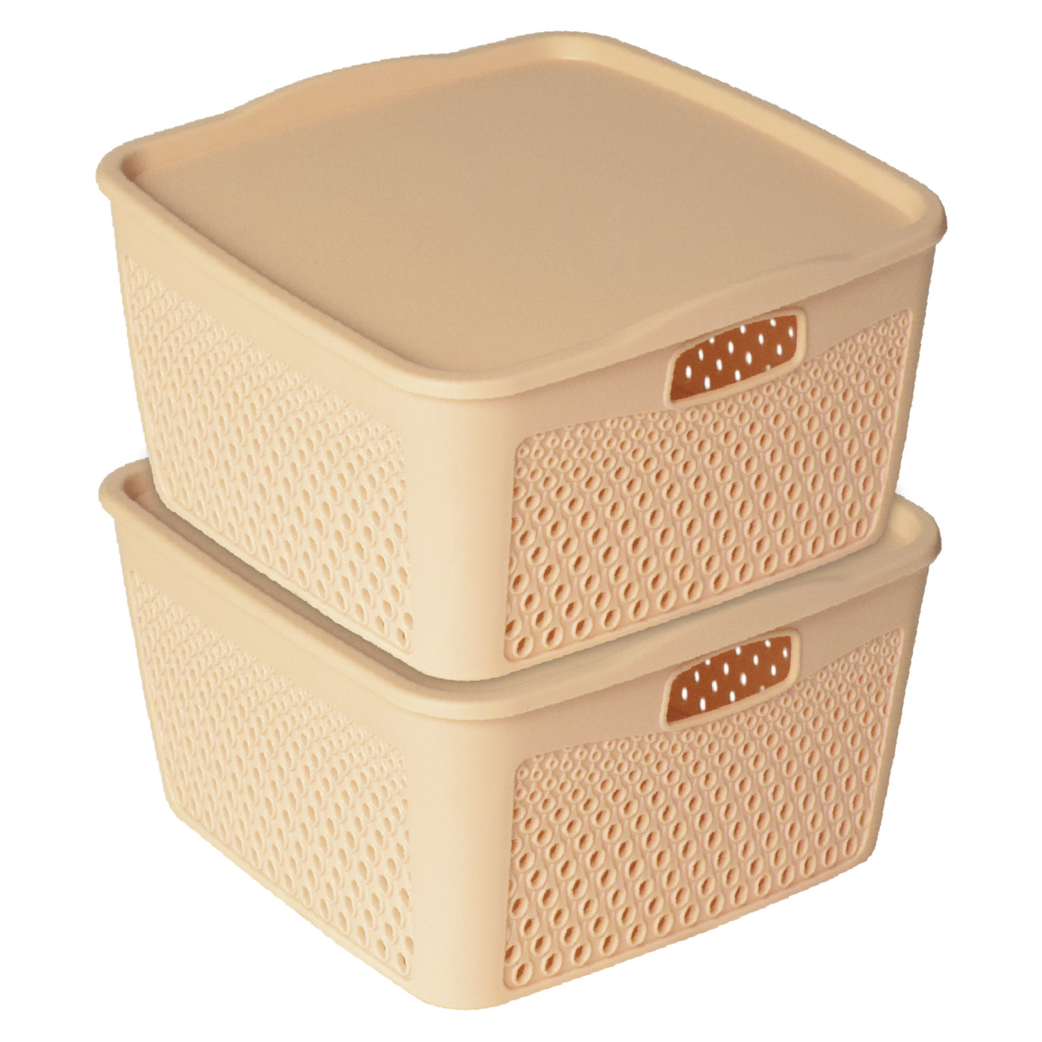 Kuber Industries Netted Design Unbreakable Multipurpose Square Shape Plastic Storage Baskets with lid Large (Beige)