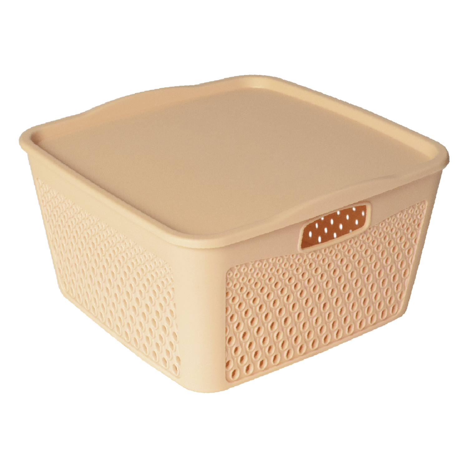 Kuber Industries Netted Design Unbreakable Multipurpose Square Shape Plastic Storage Baskets with lid Small, Medium, Large Pack of 3 (Beige)