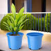 Flower Pot | Fuldani Flower Pot | Phooldaan for Home DÃ©cor | Pots for Home, Terrace, Garden | Pots Stand for Plants | Synergy Indoor Plant Stand | Blue