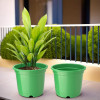 Flower Pot | Fuldani Flower Pot | Pots for Home, Terrace, Garden | Pots Stand for Plants | Phooldaan for Home DÃ©cor | Synergy Indoor Plant Stand | Green