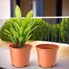 Flower Pot | Fuldani Flower Pot | Pots for Home, Terrace, Garden | Pots Stand for Plants | Phooldaan for Home DÃ©cor | Synergy Indoor Plant Stand | Orange