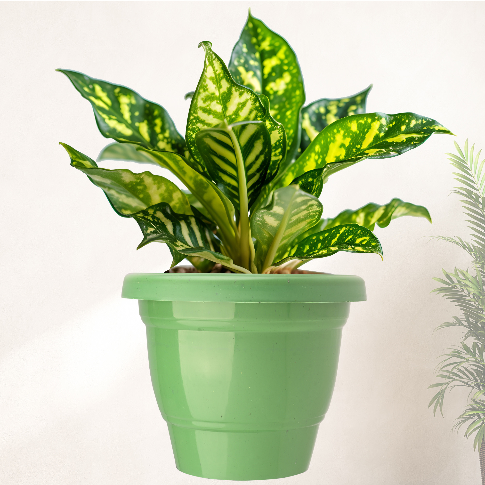 Kuber Industries Pack of 3 Flower Pot  2-Layer Fuldani Flower Pot  6 Inch Pots for Terrace Garden  Pots Stand for Plants  Phooldaan for Home Dcor  Synergy Indoor Plant Stand  Green