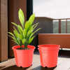 Flower Pot | Fuldani Flower Pot | (6 Inch) Pots for Home, Terrace, Garden | Pots Stand for Plants | Phooldaan for Home DÃ©cor | Synergy Indoor Plant Stand | Red