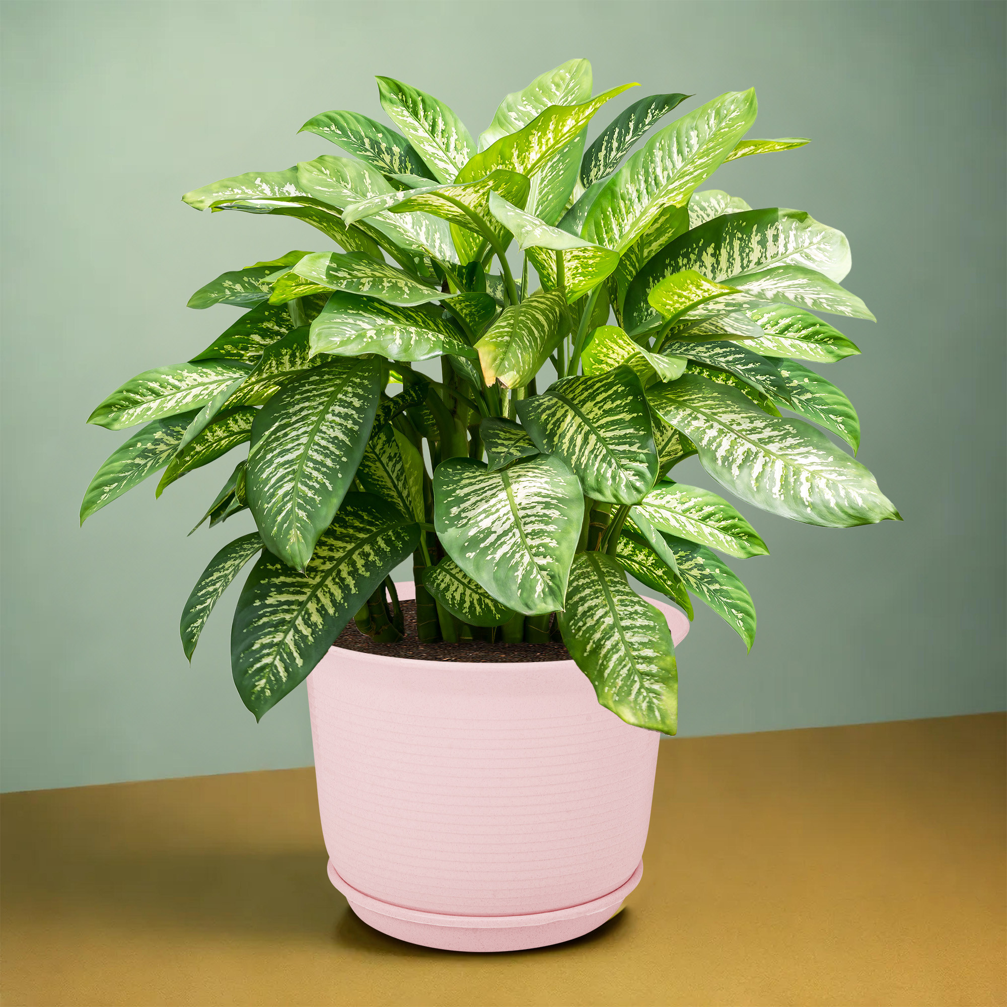 Kuber Industries Pack of 3 Flower Pot with Bottom Tray | Flower Pot for Living Room | Planters for Home-Balcony & Garden | Flower Planter | Marble Sawera | 10 Inch | Pink-Beige & Green
