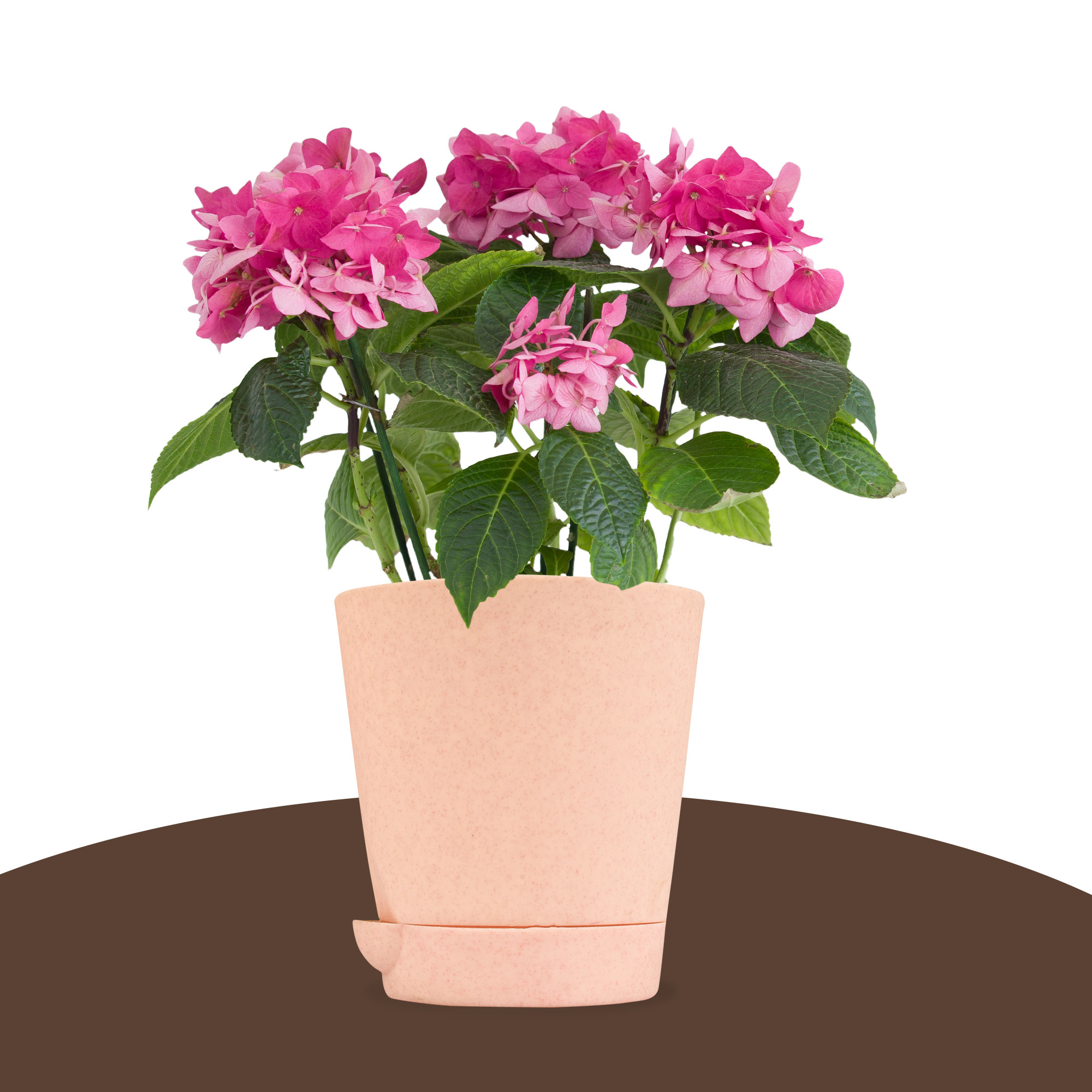 Kuber Industries Pack of 6 Flower Pot  Flower Pot for Living Room-Office  Flower Planters for Home-office-Lawns  Garden Dcor  Self Watering Flower Planters Pots  Marble Titan  4 Inch  Peach