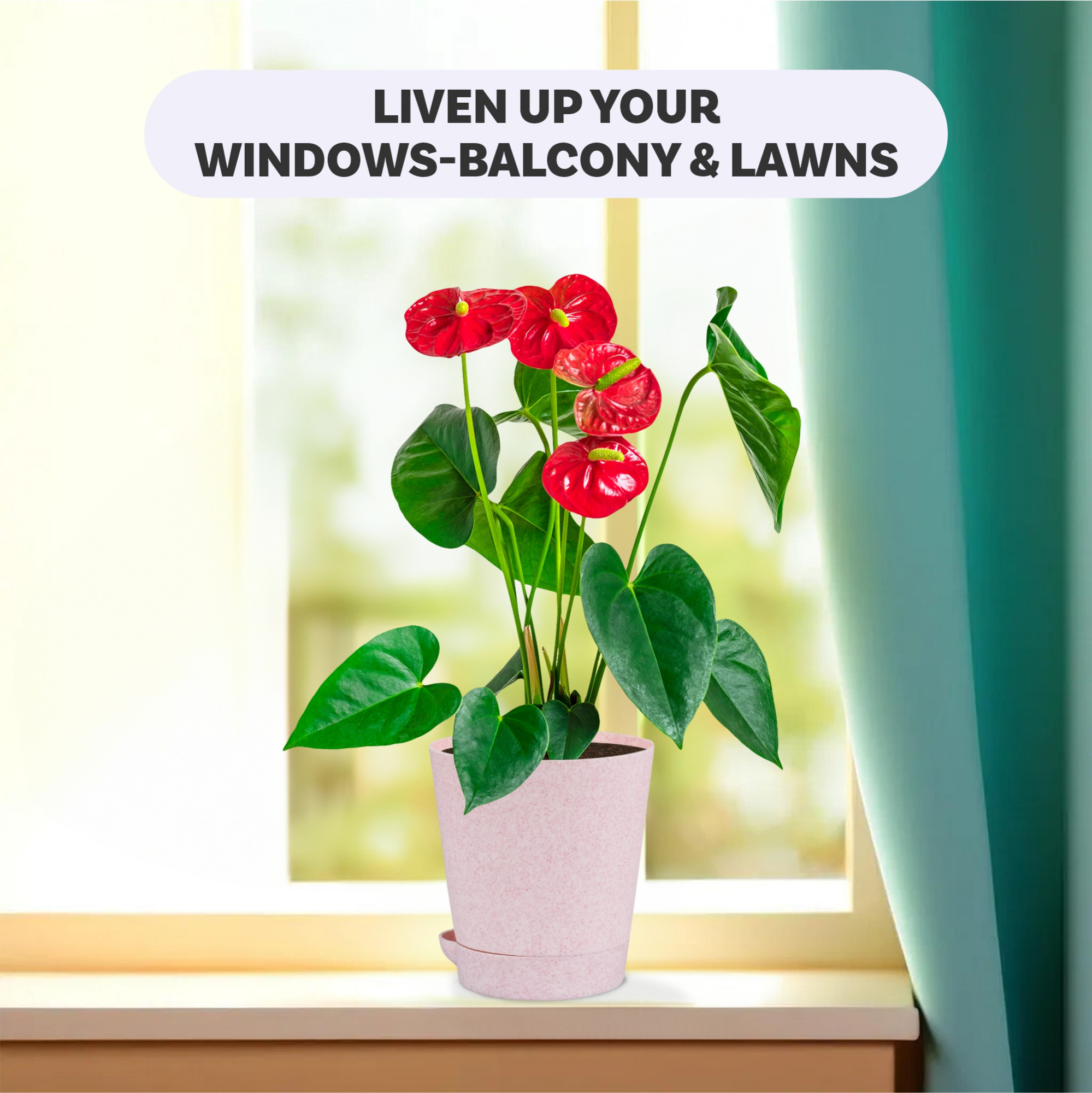 Kuber Industries Pack of 6 Flower Pot  Flower Pot for Living Room-Office  Flower Planters for Home-office-Lawns  Garden Dcor  Self Watering Flower Planters Pots  Marble Titan  4 Inch  Pink