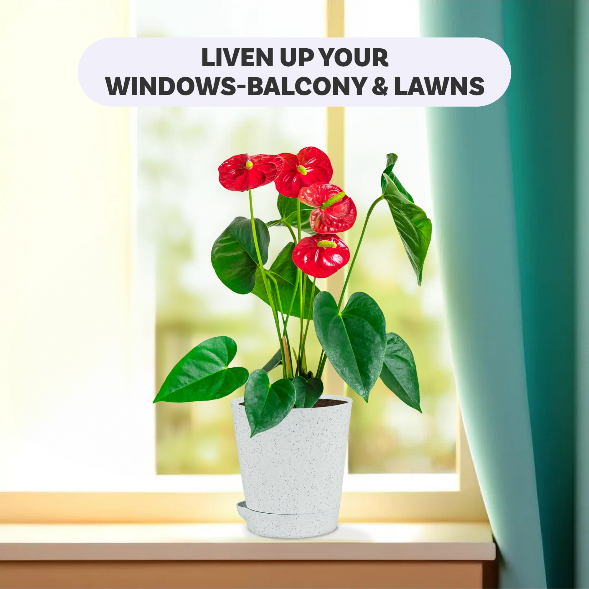 Kuber Industries Pack of 6 Flower Pot  Flower Pot for Living Room-Office  Flower Planters for Home-office-Lawns  Garden Dcor  Self Watering Flower Planters Pots  Marble Titan  4 Inch  White