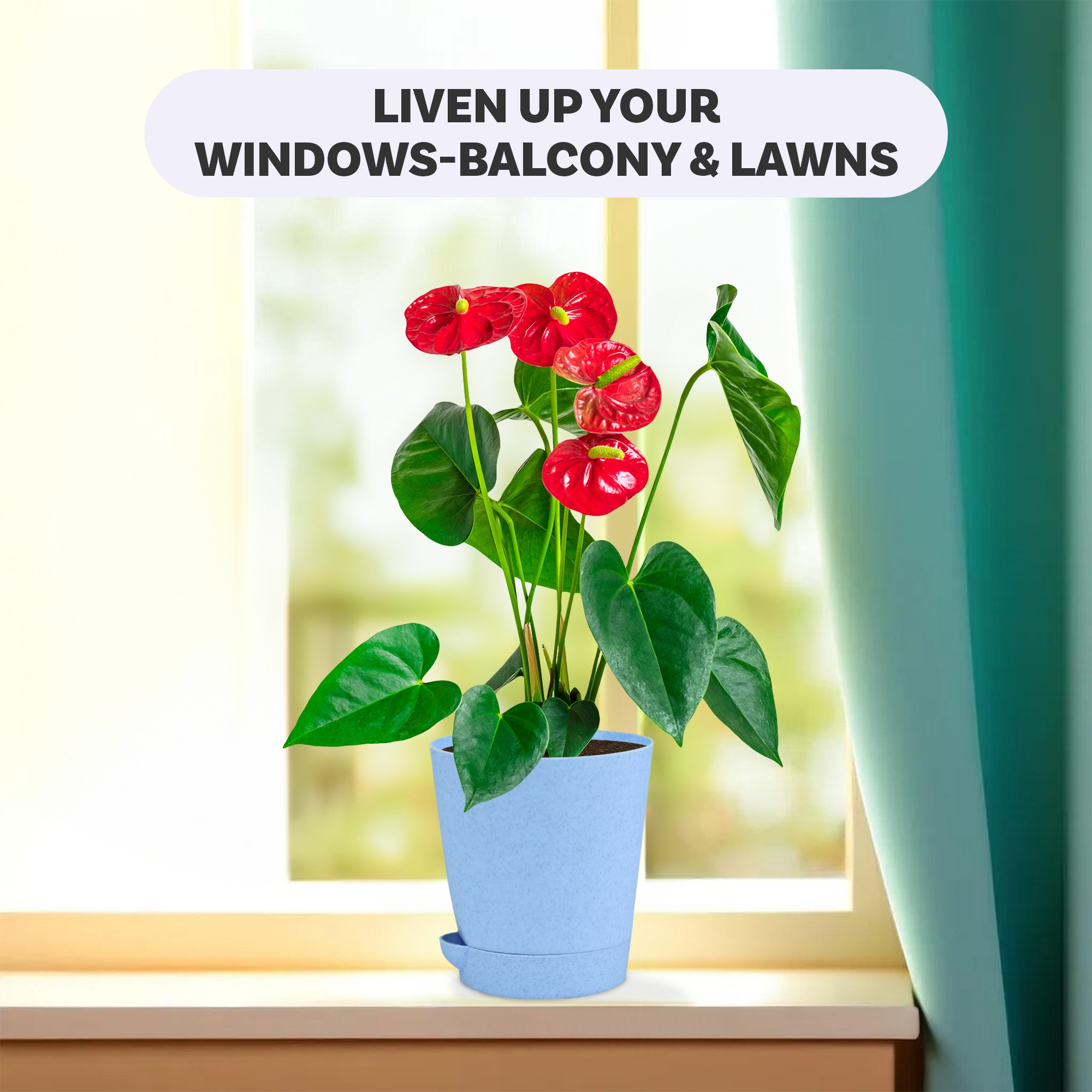 Kuber Industries Pack of 6 Flower Pot  Flower Pot for Living Room-Office  Flower Planters for Home-office-Lawns  Garden Dcor  Self Watering Flower Planters Pots  Marble Titan  4 Inch  Blue