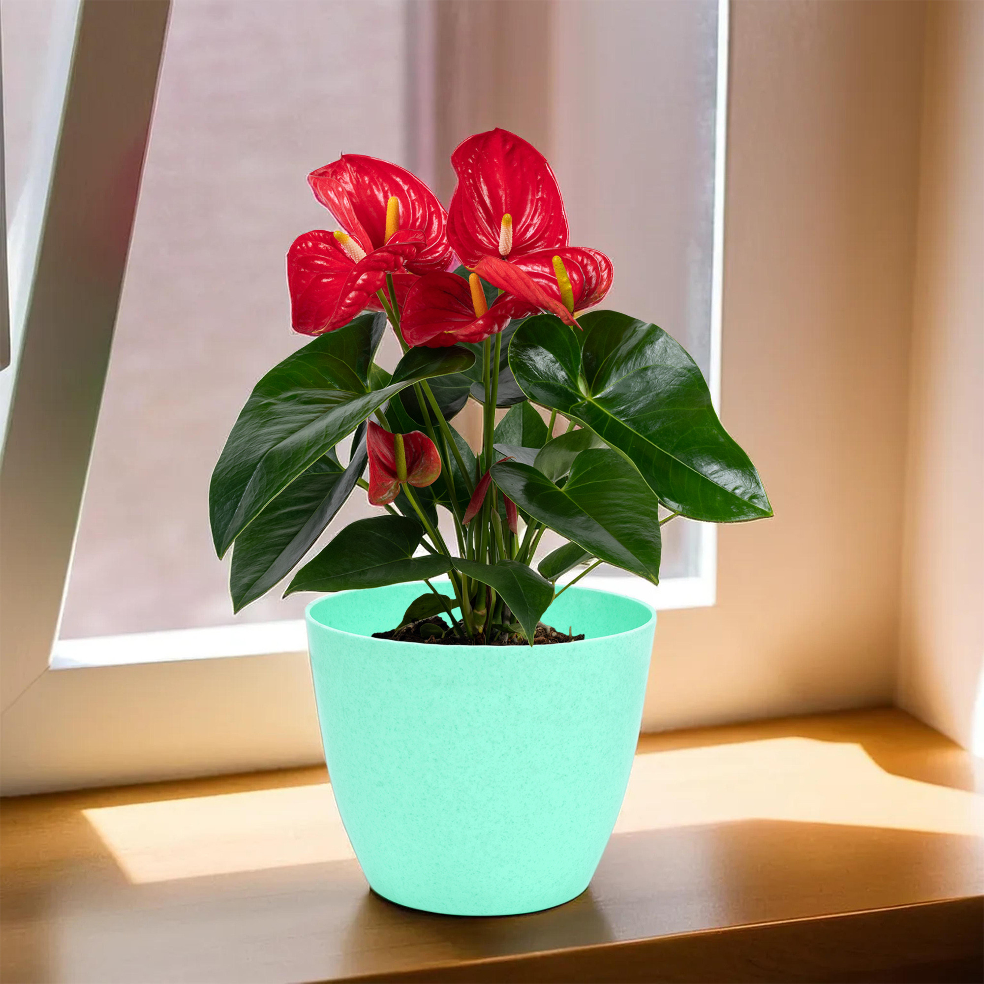 Kuber Industries Pack of 6 Flower Pot  Flower Pot for Living Room-Office  Flower Planters for Home-office-Lawns  Garden Dcor  Flower Planters Pots for Balcony  Marble Cool  5 Inch  Mint Green