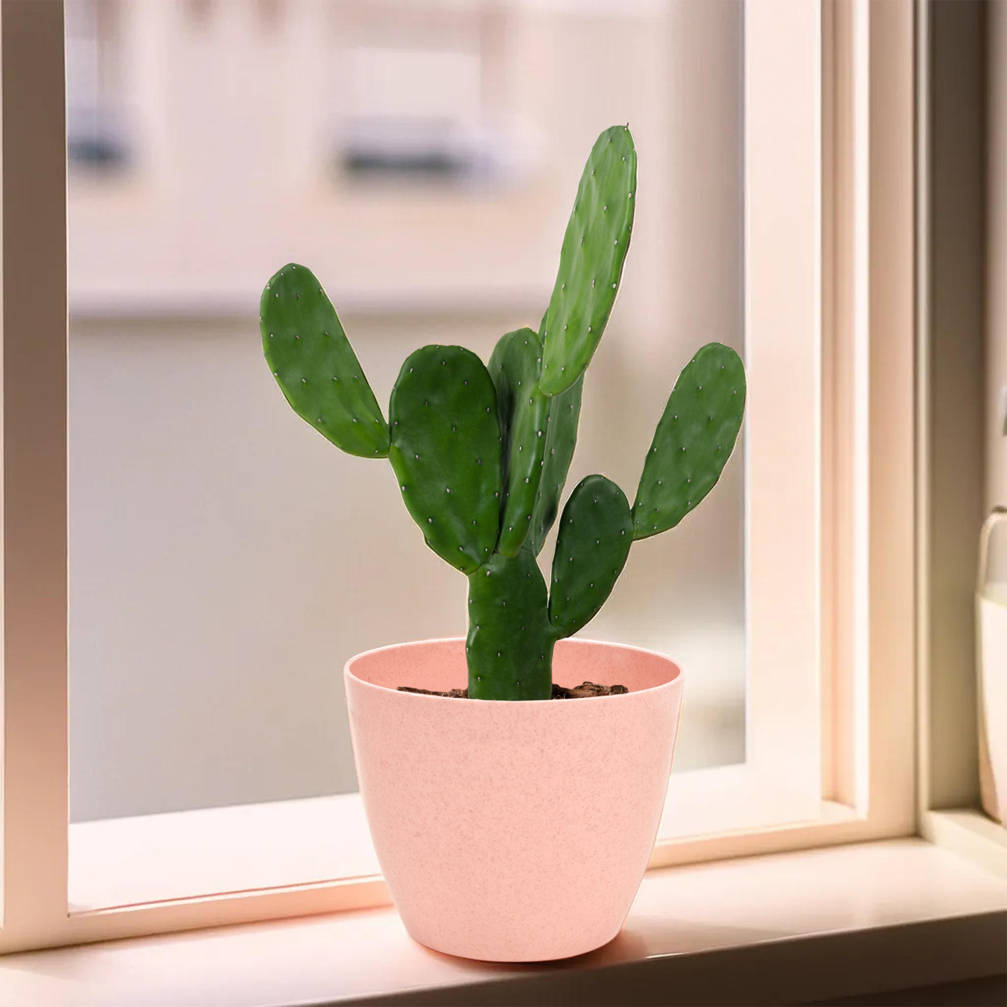 Kuber Industries Pack of 6 Flower Pot  Flower Pot for Living Room-Office  Flower Planters for Home-office-Lawns  Garden Dcor  Flower Planters Pots for Balcony  Marble Cool  5 Inch  Peach