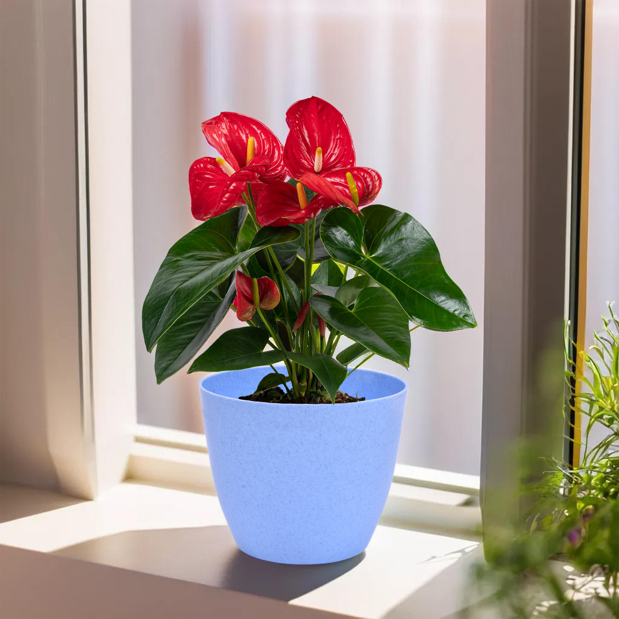 Kuber Industries Pack of 6 Flower Pot  Flower Pot for Living Room-Office  Flower Planters for Home-office-Lawns  Garden Dcor  Flower Planters Pots for Balcony  Marble Cool  5 Inch  Blue