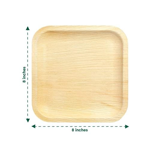 Kuber Industries-Palm Leaf Plate -Set of 25-8 