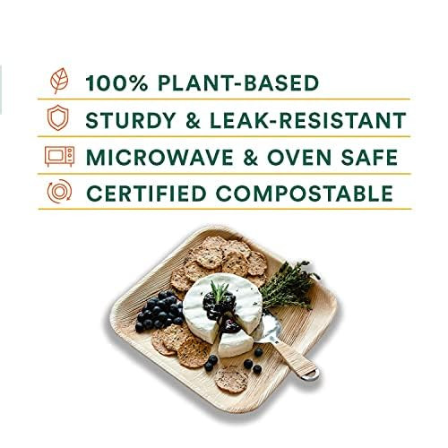 Kuber Industries-Palm Leaf Plate-Set of 25-6 