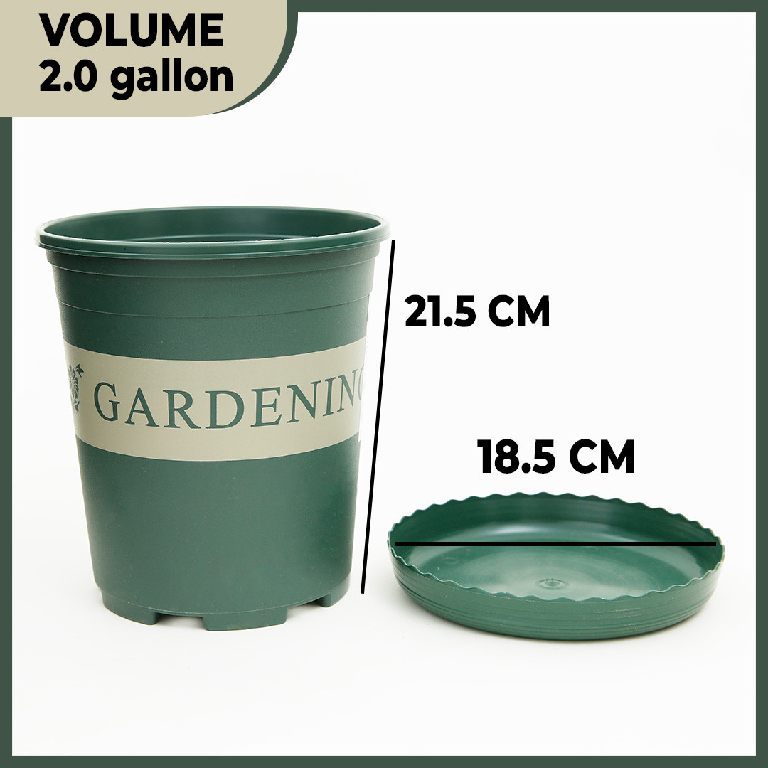 Kuber Industries Plant Pot|Durable & Lightweight|Water Drainage Holes|Plastic Flower Pot For Patio|Large|Green