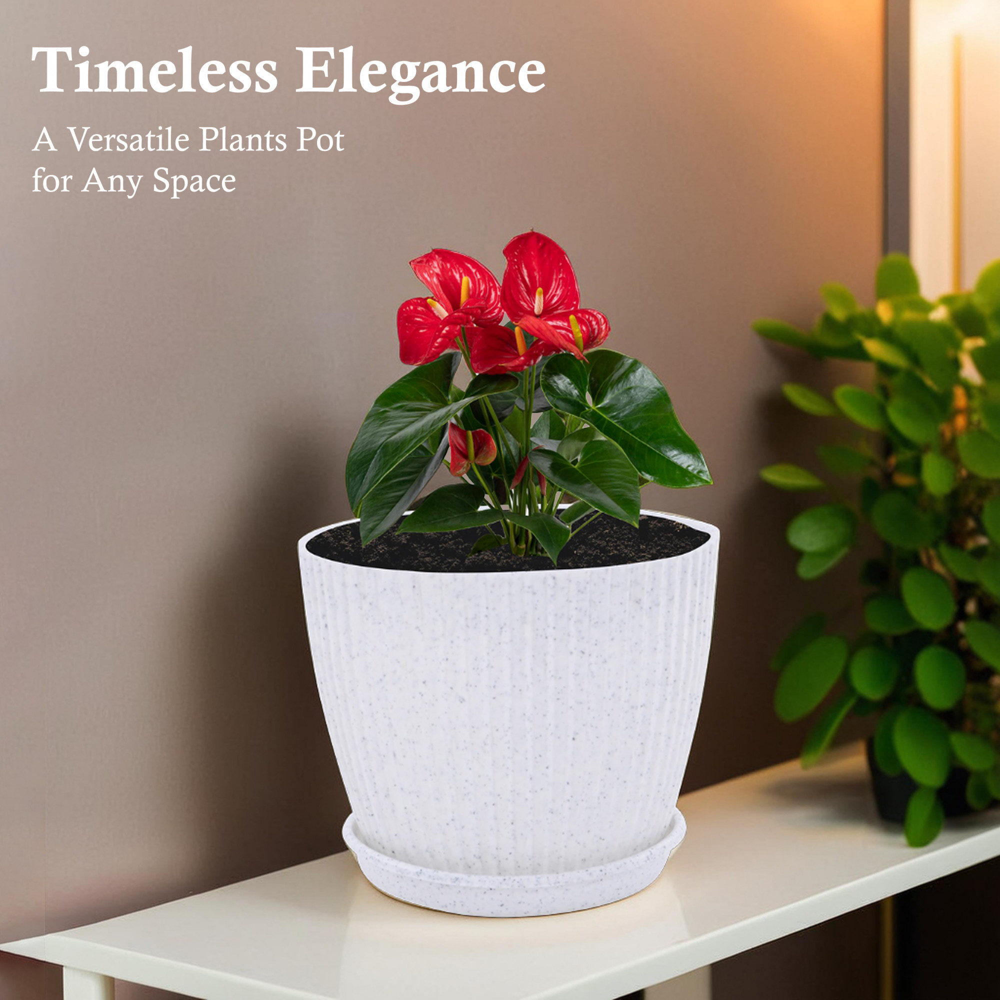 Kuber Industries Plastic 8 Inch Pots for Plants with Tray  Planters for Home Decor Living Room and Office  Indoor and Outdoor Flower Pots for Balcony and Terrace  Marble Mega - White