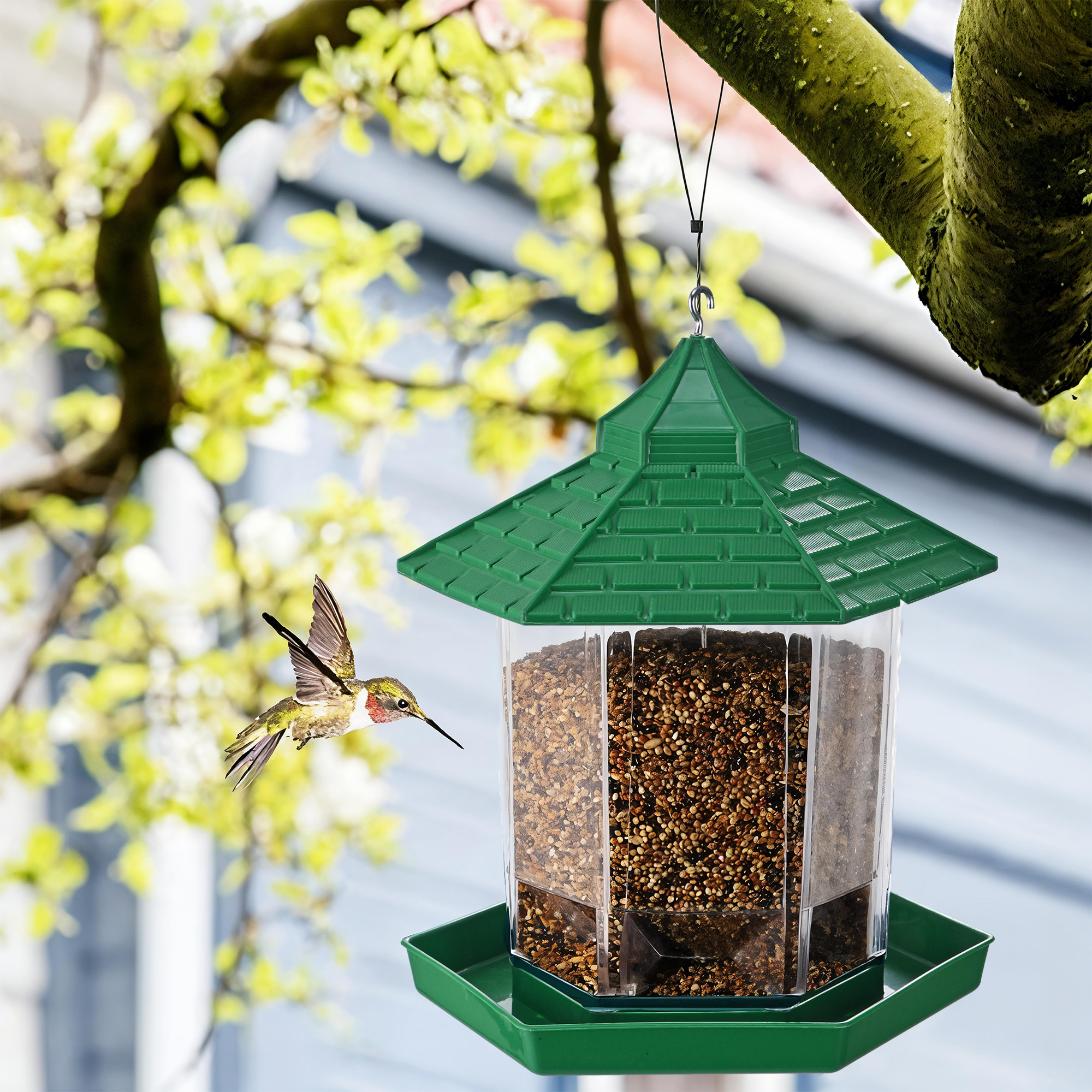 Kuber Industries Plastic Birds Feeder for Balcony with Transparent Grain Holder 360 Perch  1 Mtr Stainless Steel Wire  Hanging Bird Food Feeder for Cage Outdoor and Gardens  Green