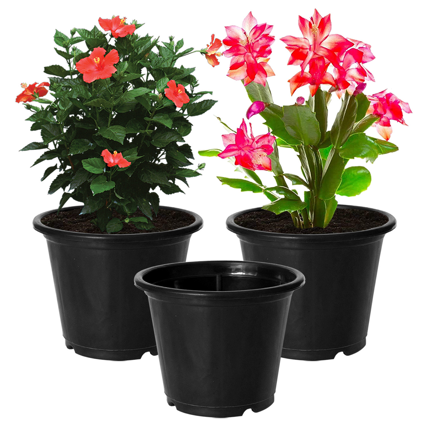 Kuber Industries Plastic Planters|Gamla|Flower Pots for Garden Nursery Home Décor,8