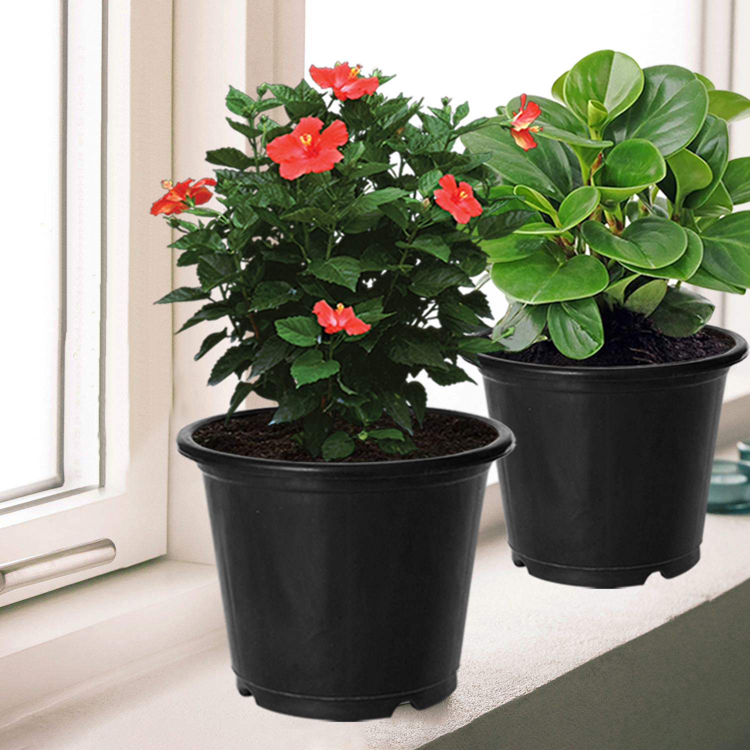 Kuber Industries Plastic Planters|Gamla|Flower Pots for Garden Nursery Home Décor,8