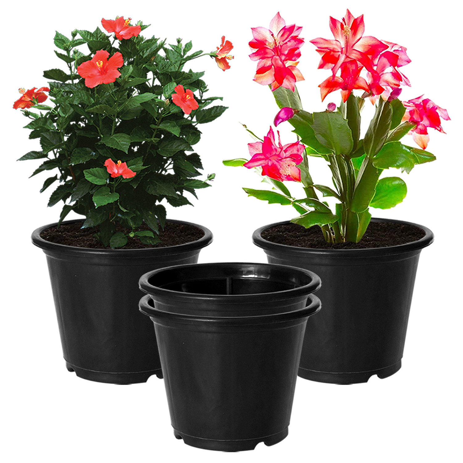 Kuber Industries Plastic Planters|Gamla|Flower Pots for Garden Nursery Home Décor,8
