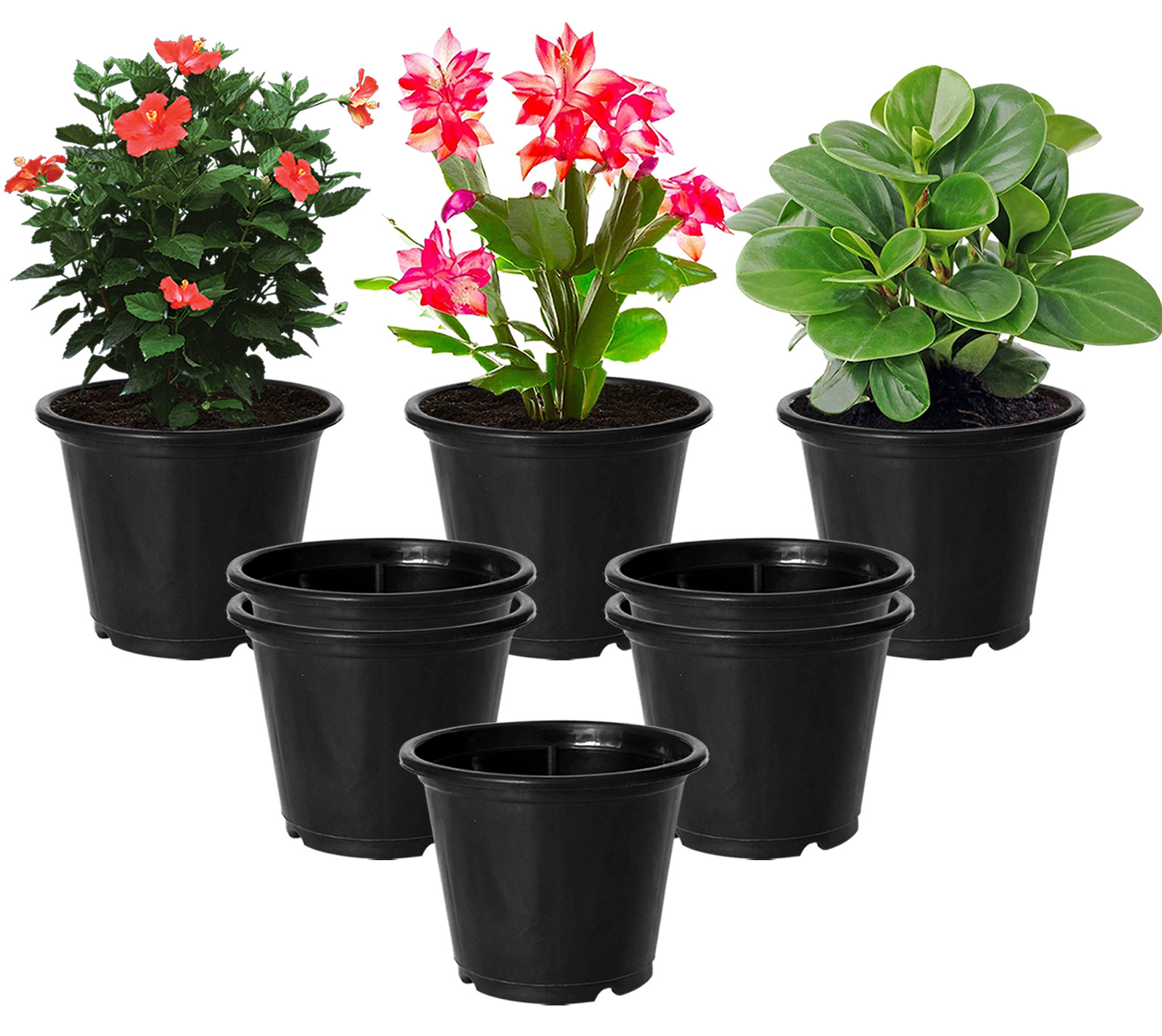 Kuber Industries Plastic Planters|Gamla|Flower Pots for Garden Nursery Home Décor,8
