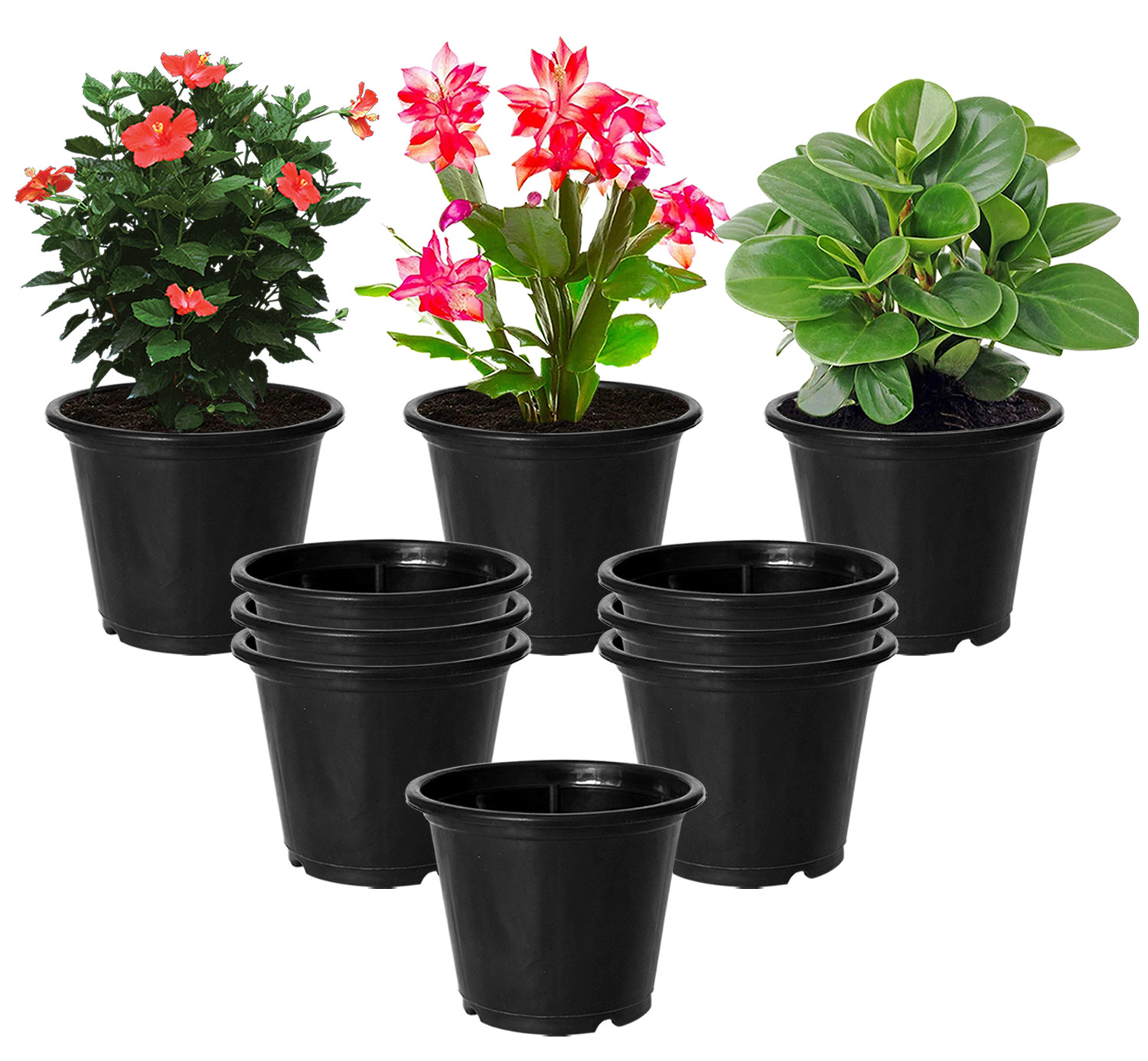 Kuber Industries Plastic Planters|Gamla|Flower Pots for Garden Nursery Home Décor,8