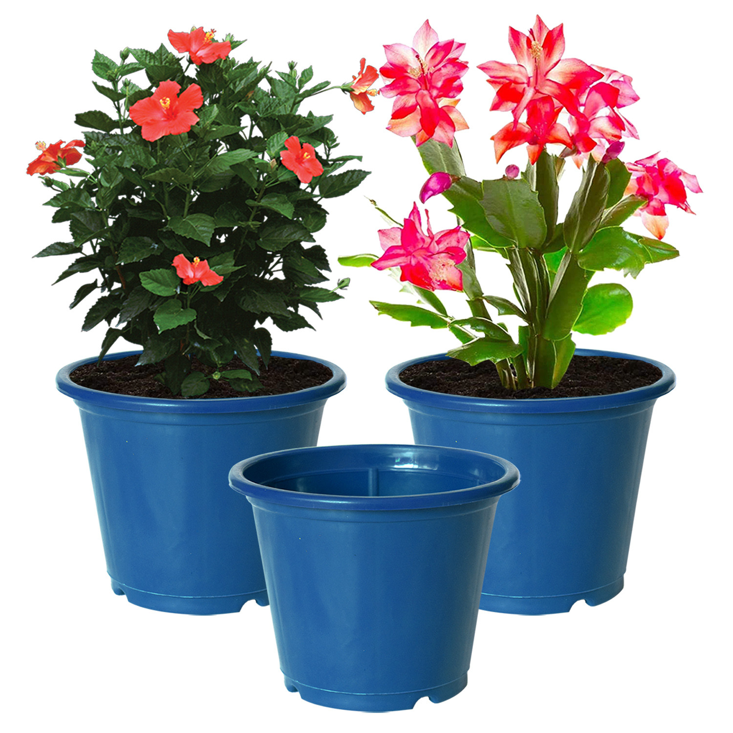 Kuber Industries Plastic Planters|Gamla|Flower Pots for Garden Nursery Home Décor,8