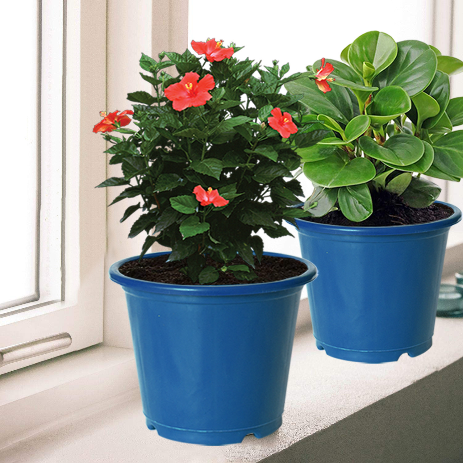 Kuber Industries Plastic Planters|Gamla|Flower Pots for Garden Nursery Home Décor,8