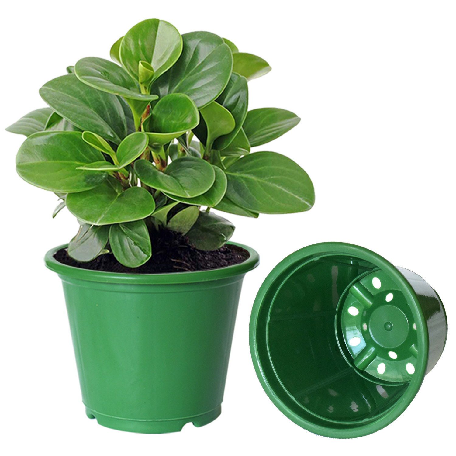 Kuber Industries Plastic Planters|Gamla|Flower Pots for Garden Nursery Home Décor,8