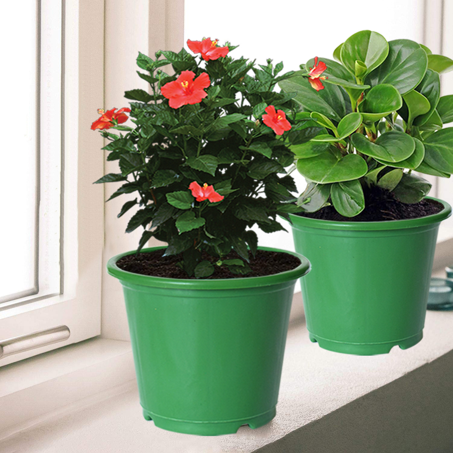 Kuber Industries Plastic Planters|Gamla|Flower Pots for Garden Nursery Home Décor,8