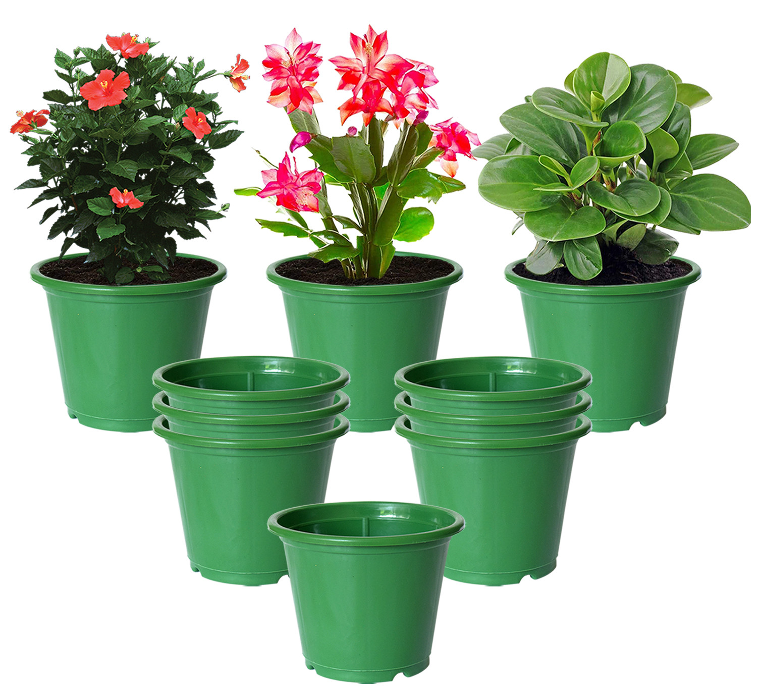 Kuber Industries Plastic Planters|Gamla|Flower Pots for Garden Nursery Home Décor,8