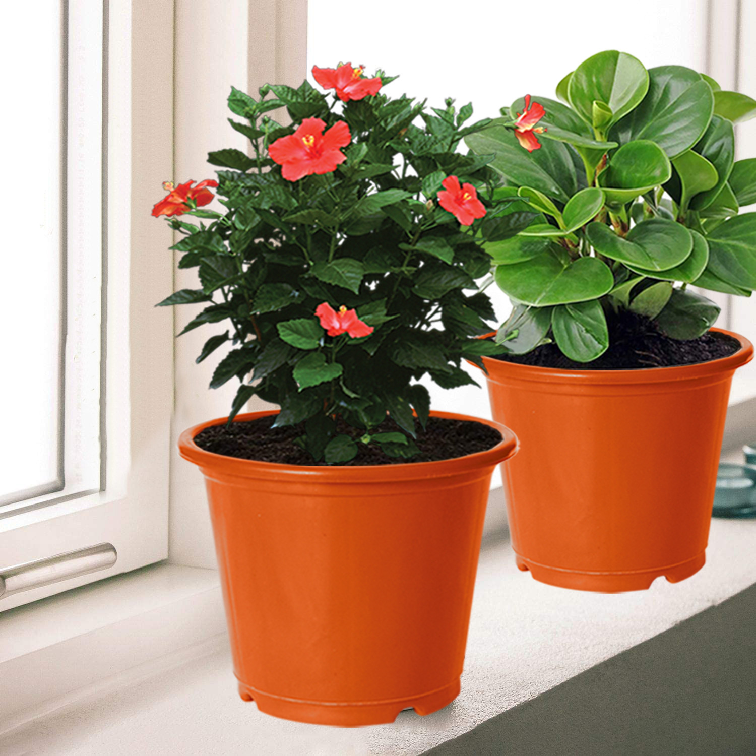 Kuber Industries Plastic Planters|Gamla|Flower Pots for Garden Nursery Home Décor,8