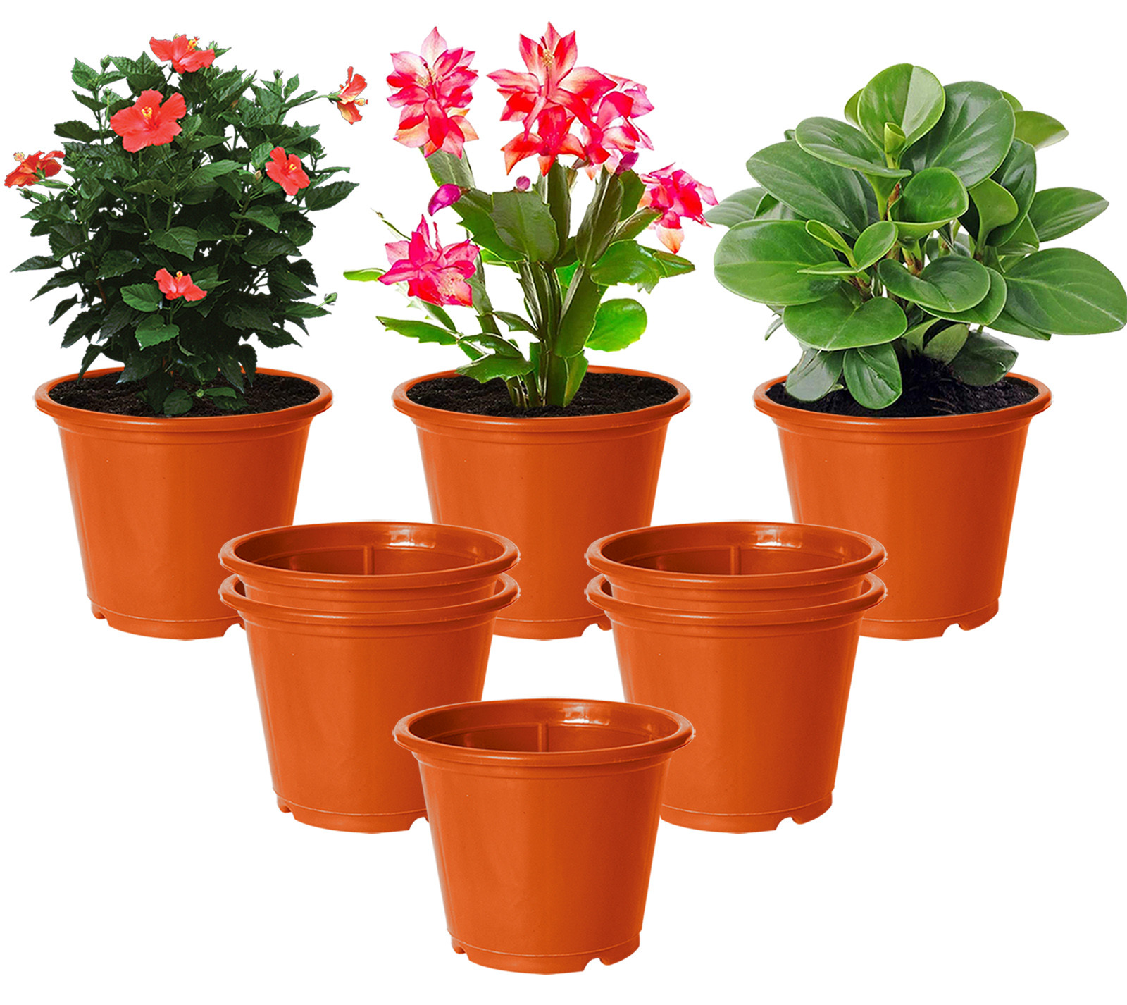 Kuber Industries Plastic Planters|Gamla|Flower Pots for Garden Nursery Home Décor,8