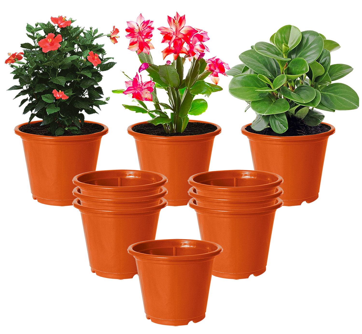 Kuber Industries Plastic Planters|Gamla|Flower Pots for Garden Nursery Home Décor,8