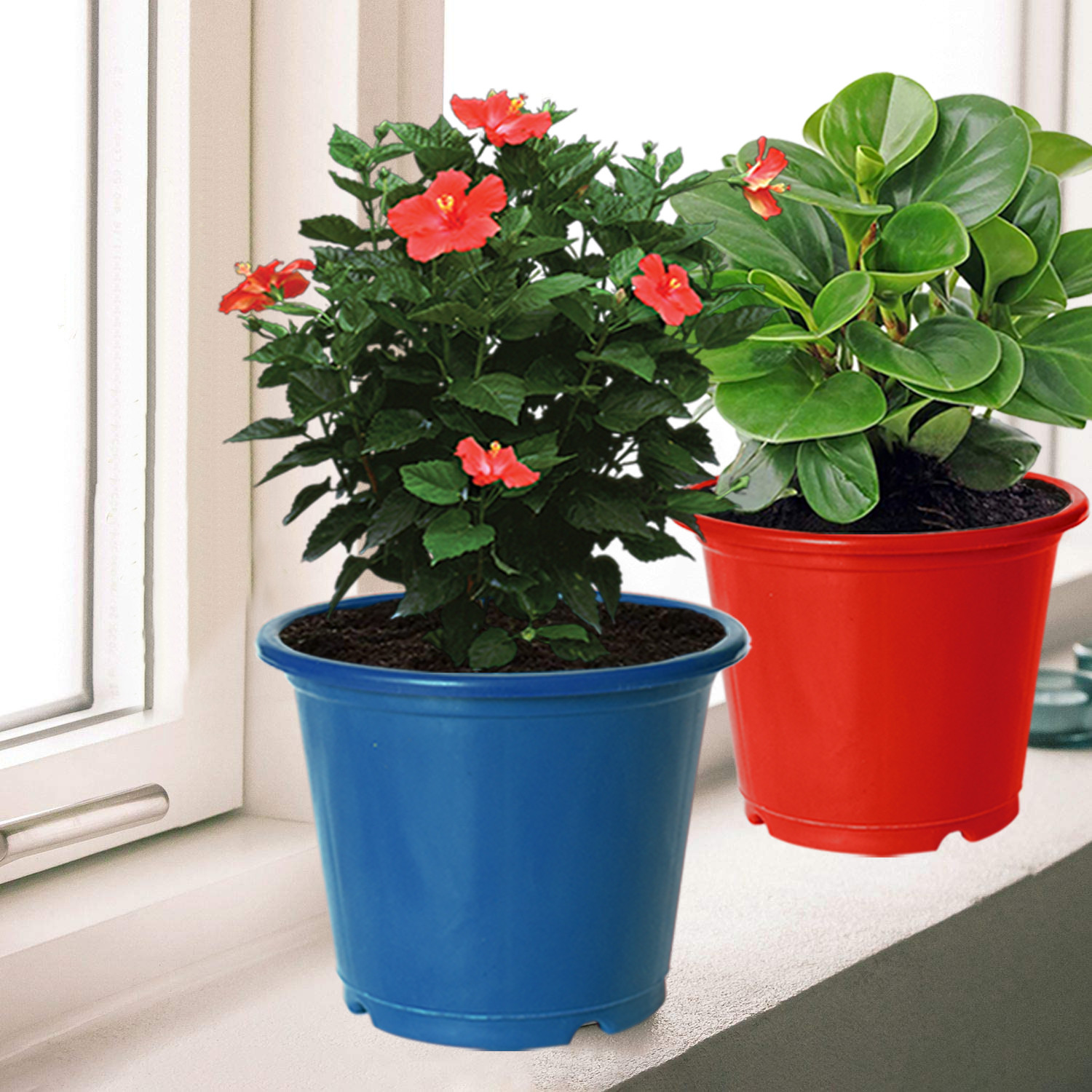 Kuber Industries Plastic Planters|Gamla|Flower Pots for Garden Nursery Home Décor,8