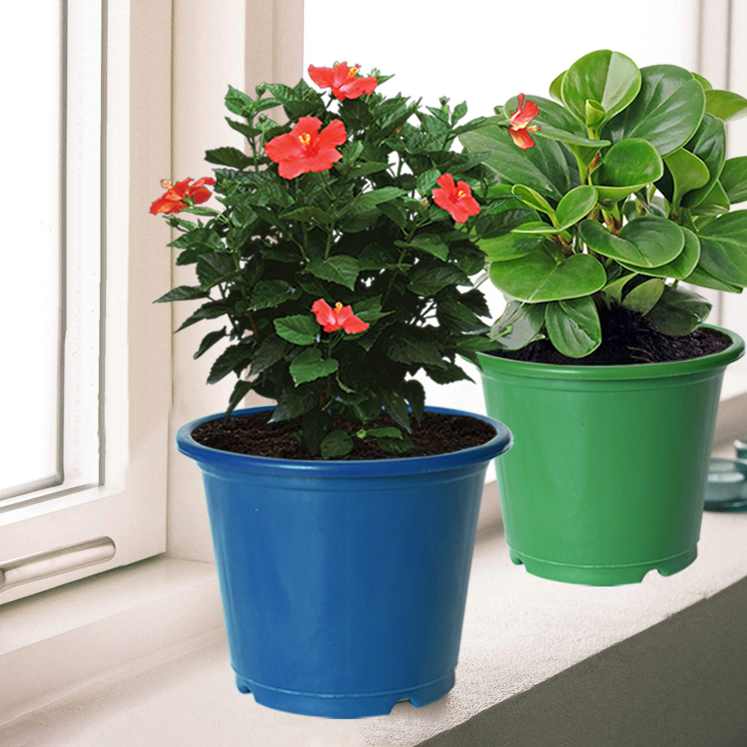 Kuber Industries Plastic Planters|Gamla|Flower Pots for Garden Nursery Home Décor,8