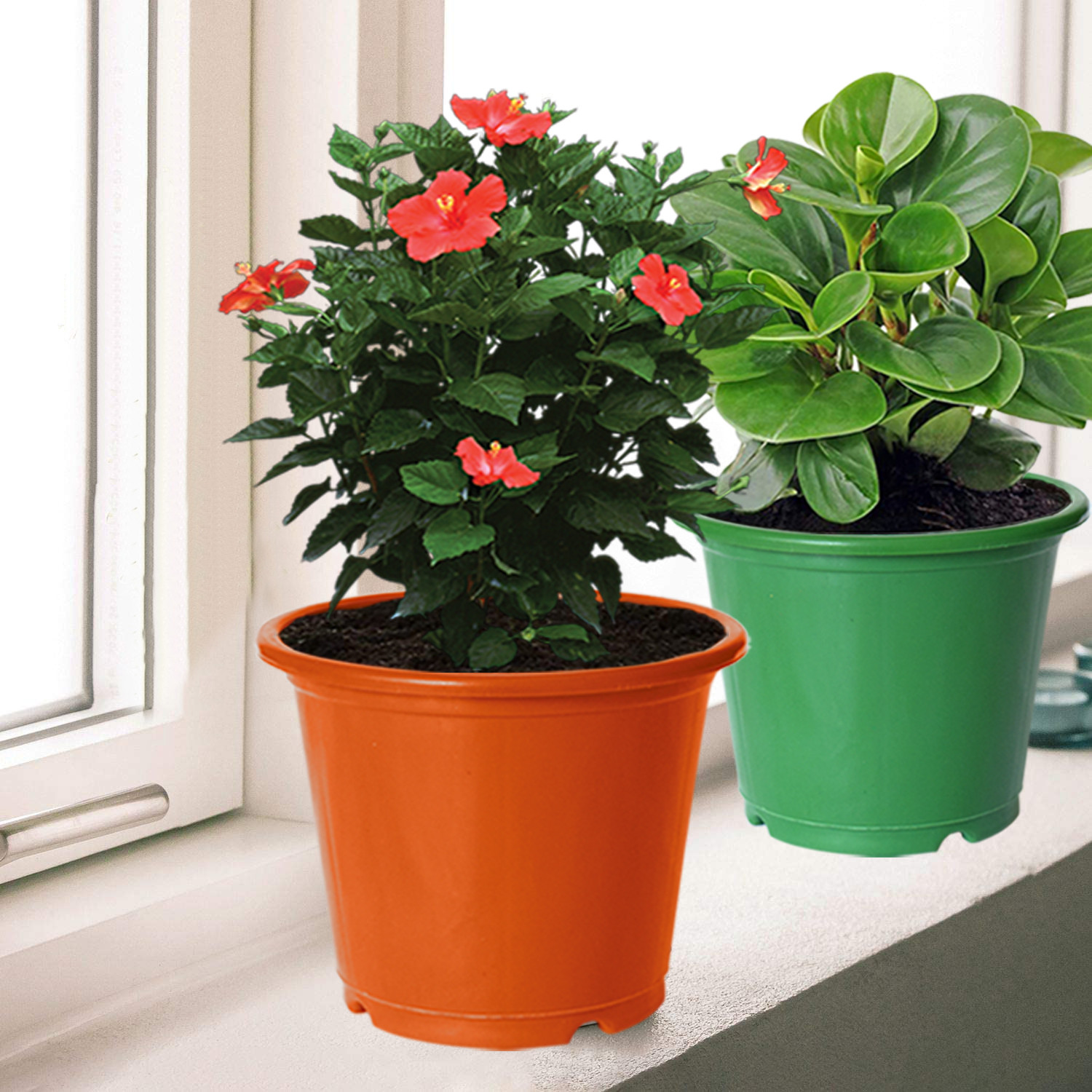 Kuber Industries Plastic Planters|Gamla|Flower Pots for Garden Nursery Home Décor,8