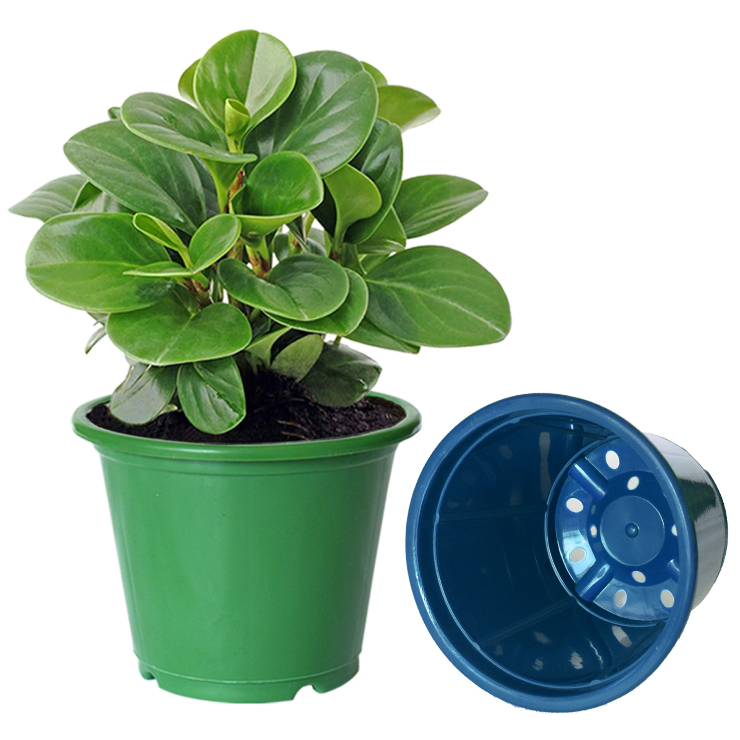 Kuber Industries Plastic Planters|Gamla|Flower Pots for Garden Nursery Home Décor,8