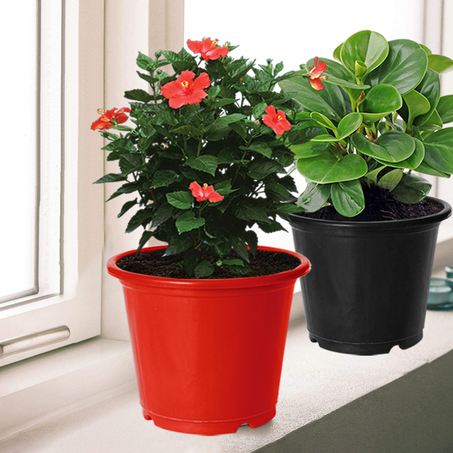 Kuber Industries Plastic Planters|Gamla|Flower Pots for Garden Nursery Home Décor,8