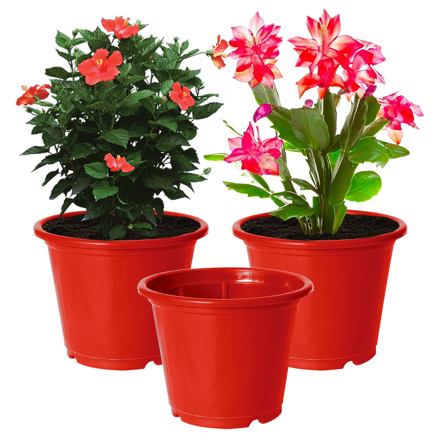 Kuber Industries Plastic Planters|Gamla|Flower Pots for Garden Nursery Home Décor,8