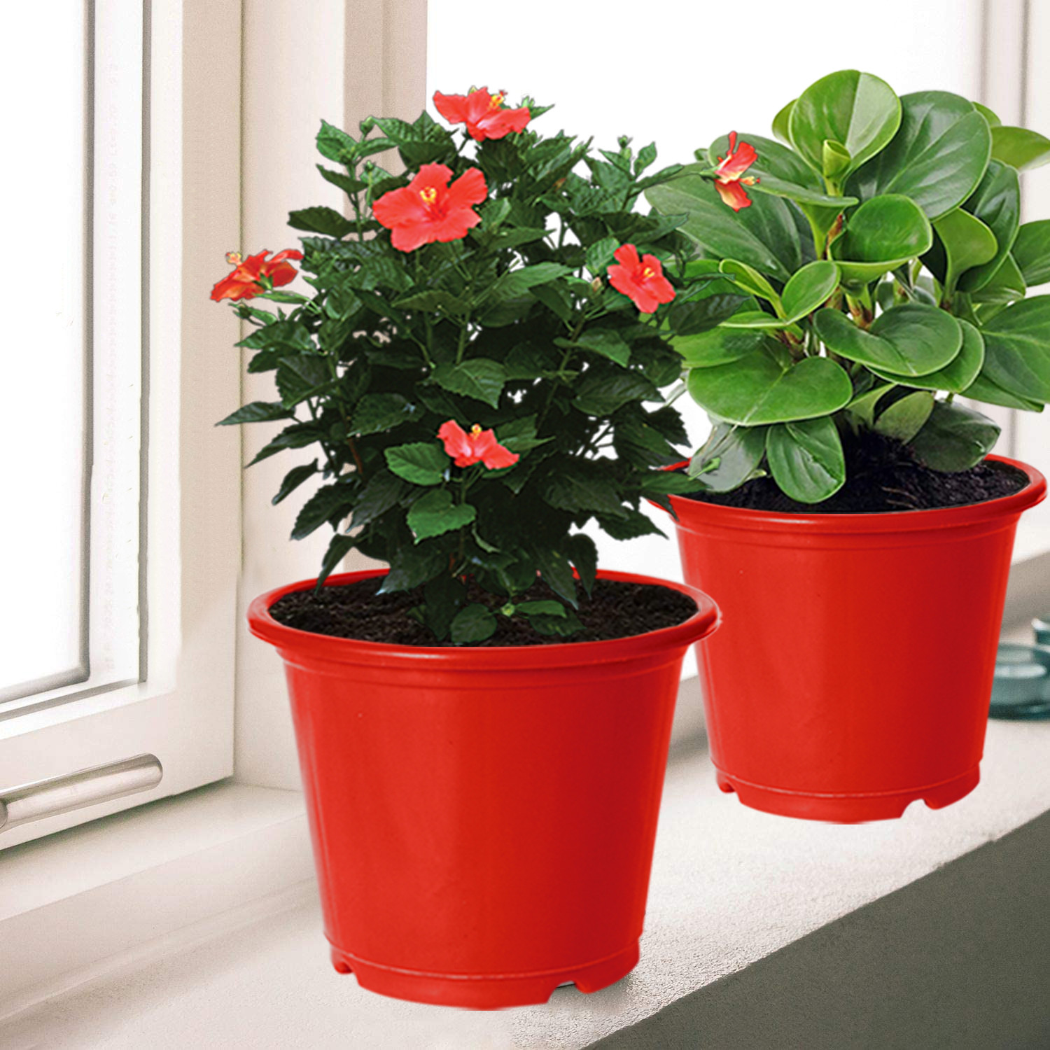 Kuber Industries Plastic Planters|Gamla|Flower Pots for Garden Nursery Home Décor,8