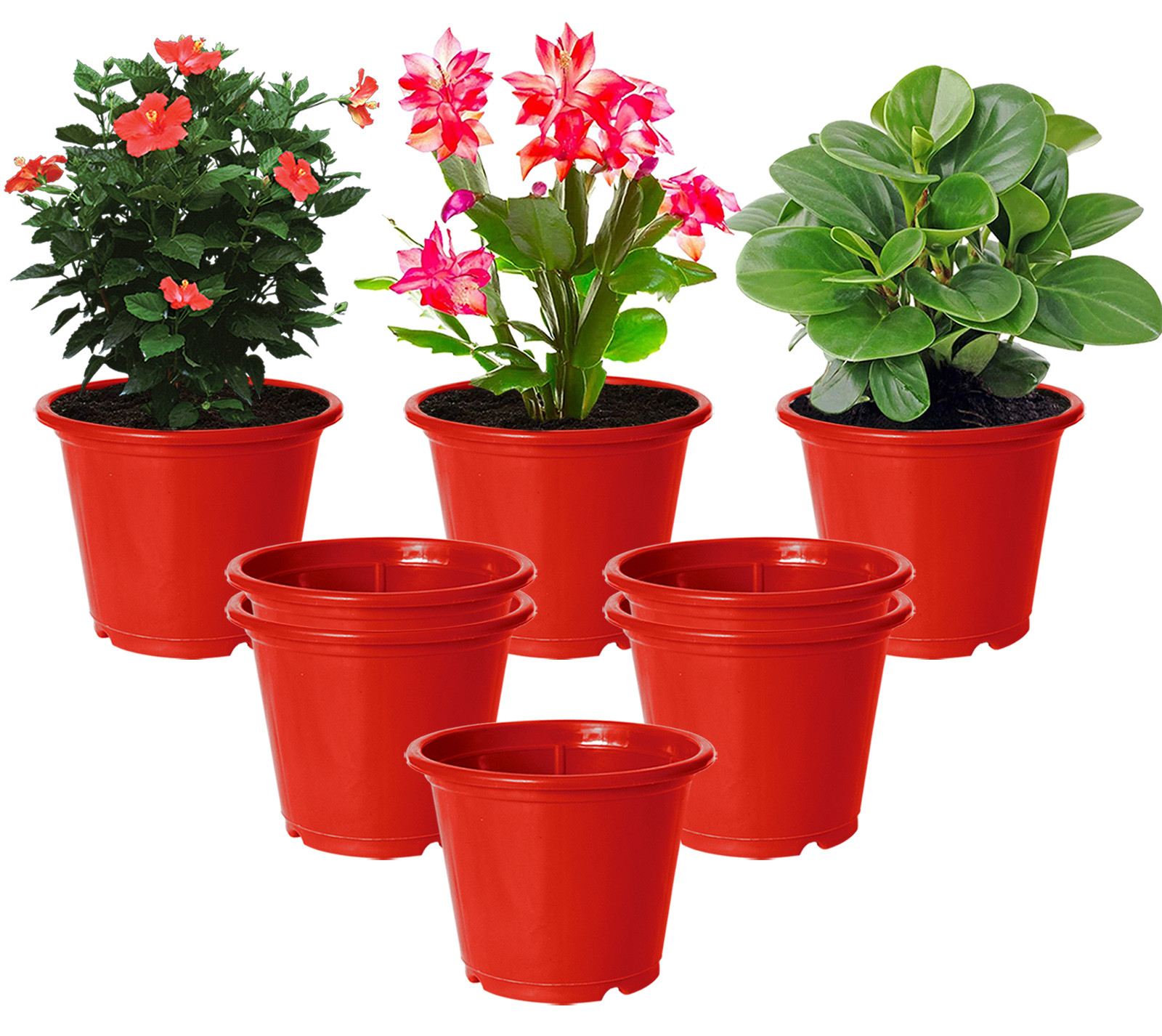 Kuber Industries Plastic Planters|Gamla|Flower Pots for Garden Nursery Home Décor,8